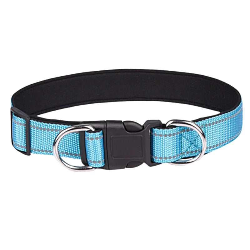 collier-chien-avec-double-anneau-bleu