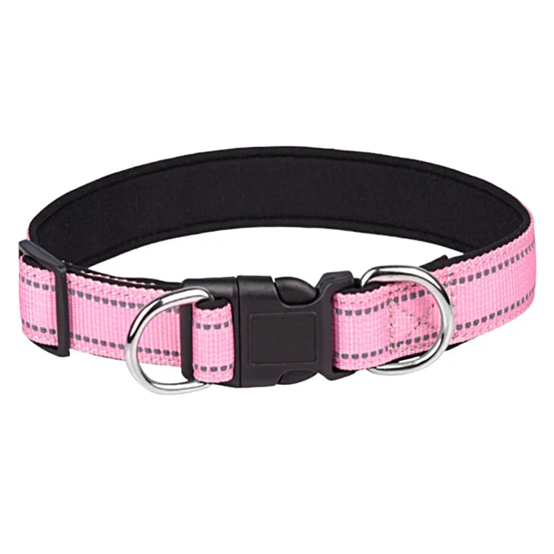 collier-chien-avec-double-anneau-fuxia