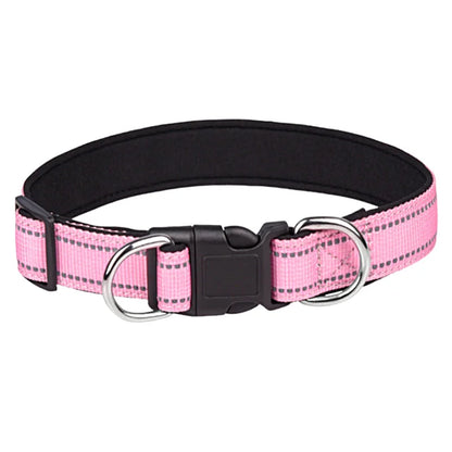 collier-chien-avec-double-anneau-fuxia