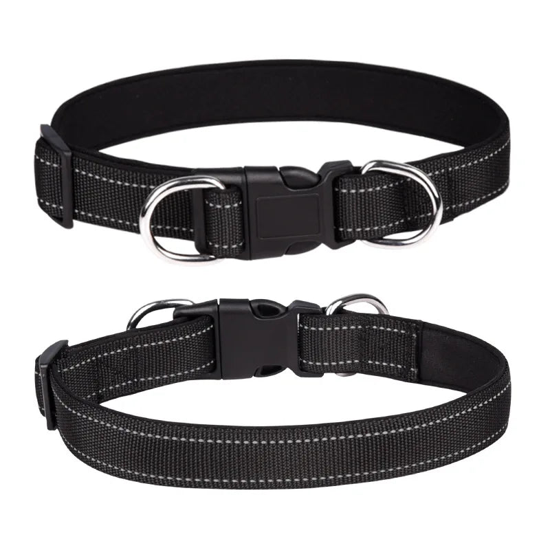 collier-chien-avec-double-anneau-inox
