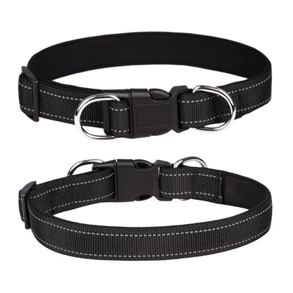 collier-chien-avec-double-anneau-inox