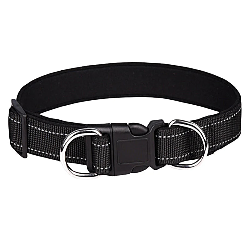 collier-chien-avec-double-anneau-noir