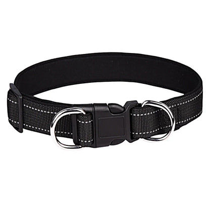 collier-chien-avec-double-anneau-noir