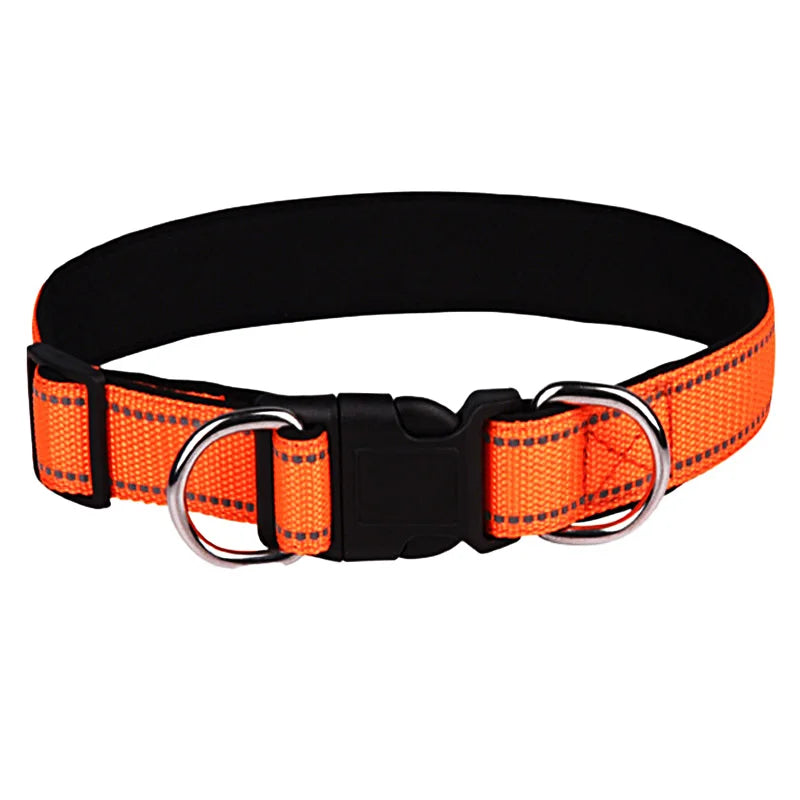 collier-chien-avec-double-anneau-orange