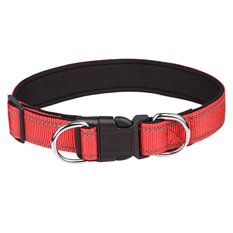 collier-chien-avec-double-anneau-rouge