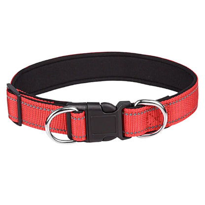 collier-chien-avec-double-anneau-rouge