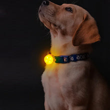 Charger l&#39;image dans la galerie, collier-chien-balade-nocturne
