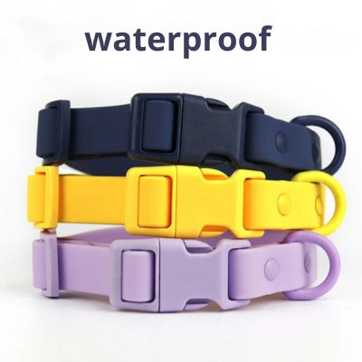 collier-chien-confortable