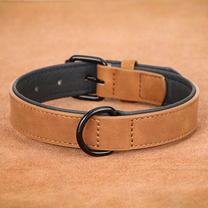 collier-chien-cuir-elegant