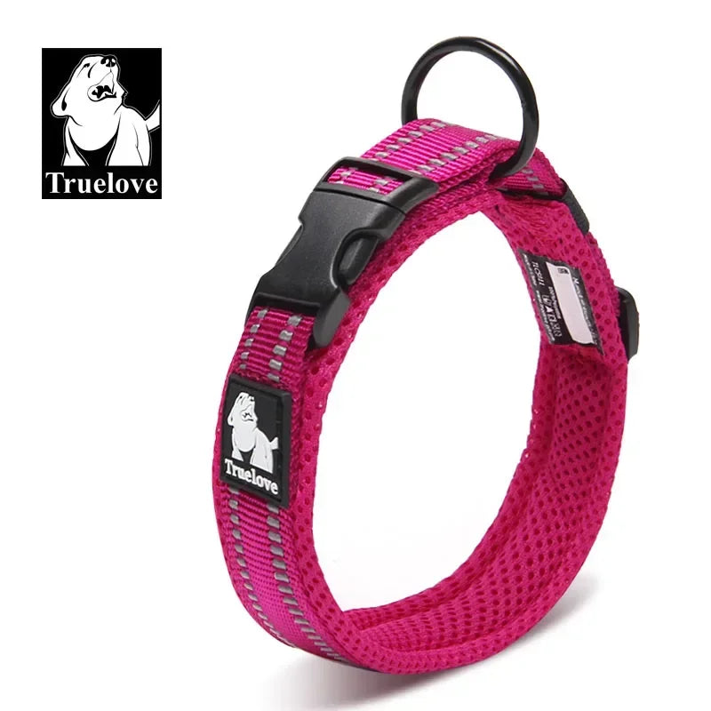 collier-chien-fuchsia-ajustable