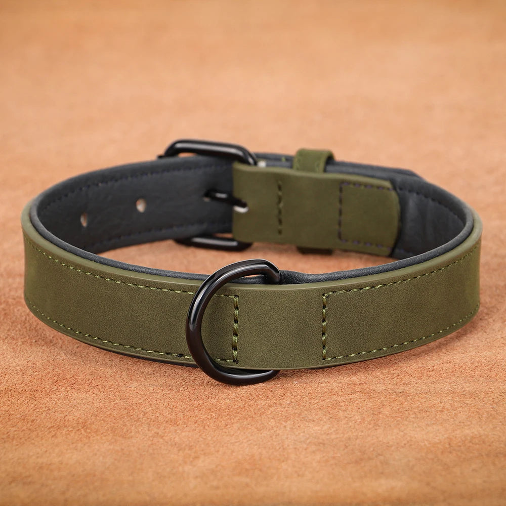 collier-chien-haute-qualite