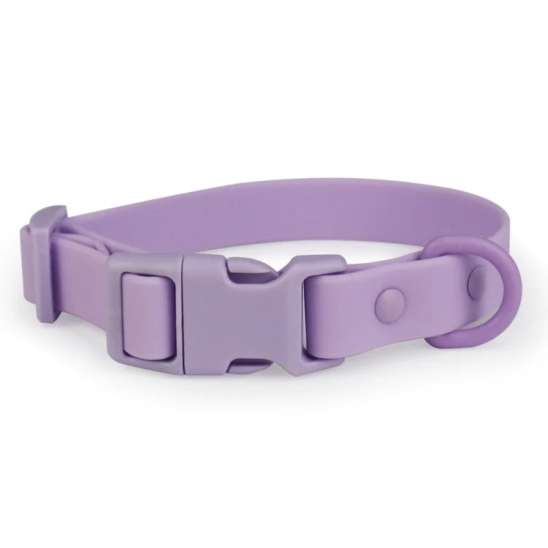 collier-chien-impermeable-violet