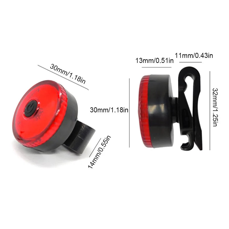 collier-chien-lumiere-dimension