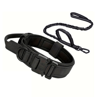 collier-chien-noir