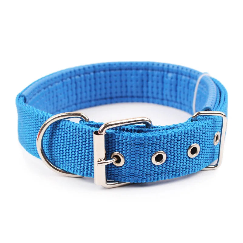 collier-chien-nylon-bleu