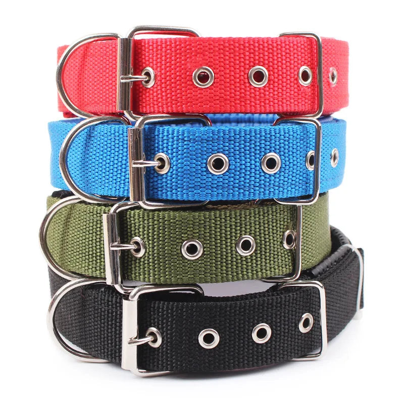 collier-chien-nylon-en-4-couleurs