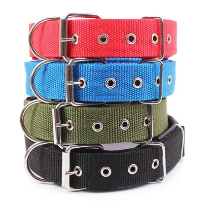 collier-chien-nylon-en-4-couleurs