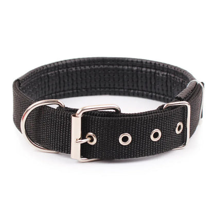 collier-chien-nylon-noir