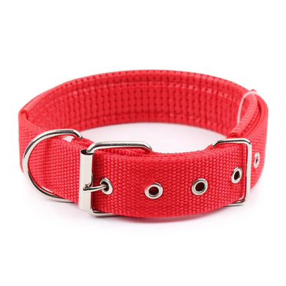 collier-chien-nylon-rouge