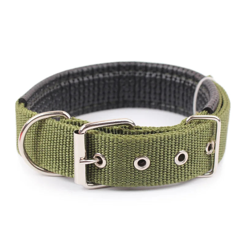 collier-chien-nylon-vert