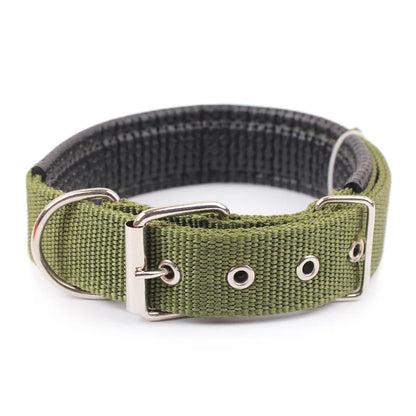 collier-chien-nylon-vert