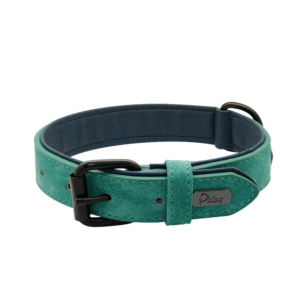 collier-chien-pour-promenade