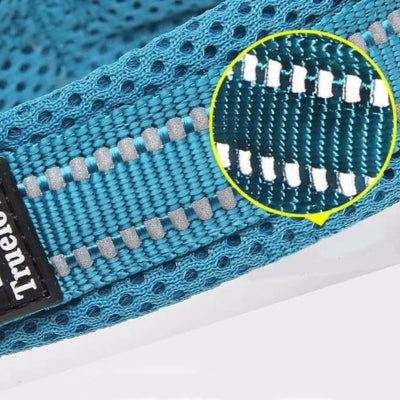 collier-chien-réfléchissant-multicolore