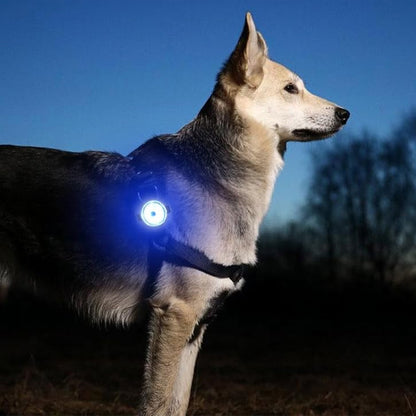 collier-chien-rechargeable-usb