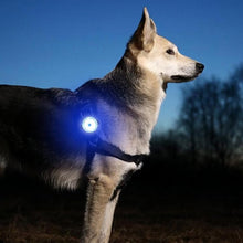 Charger l&#39;image dans la galerie, collier-chien-rechargeable-usb
