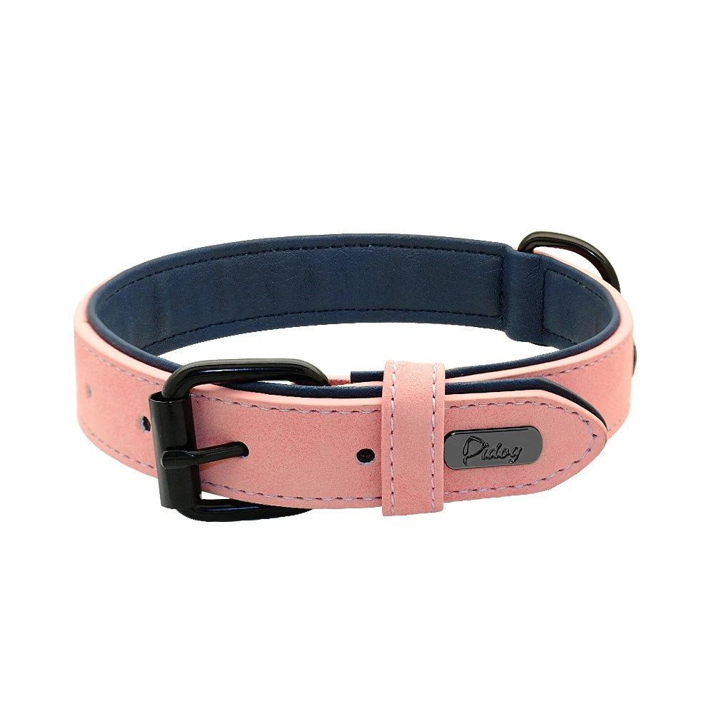 collier-chien-robuste-et-stylé