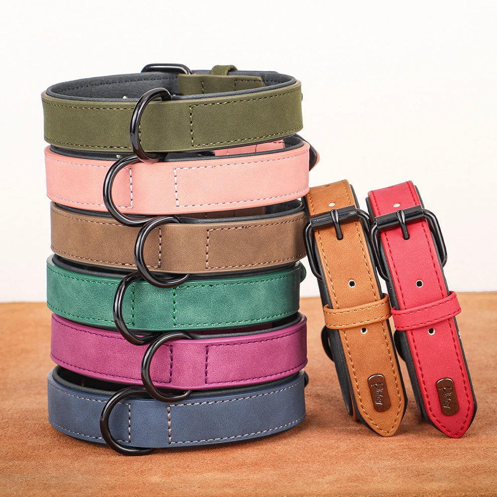collier-cuir-chien-haute-qualite