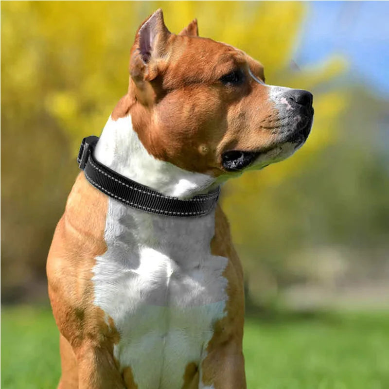 collier-doux-neoprene-haute-visibilite