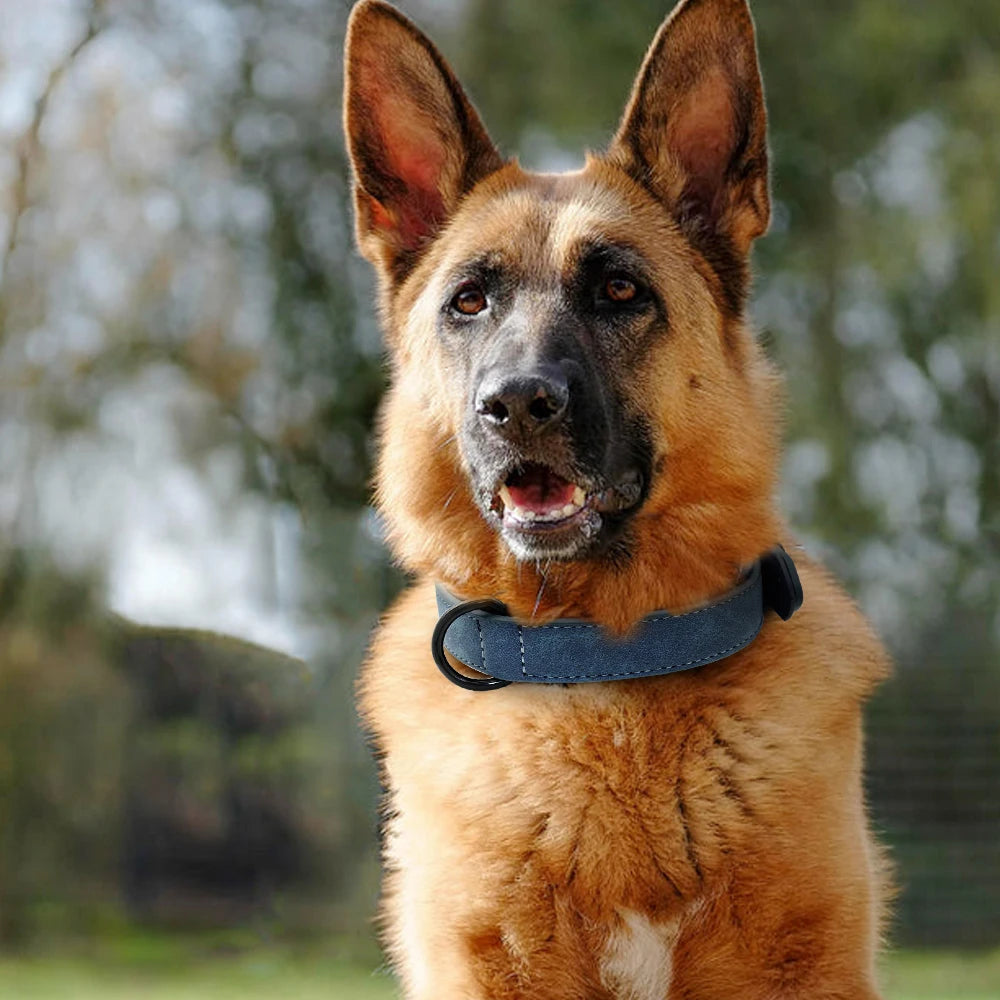 collier-en-cuir-elegance-canine