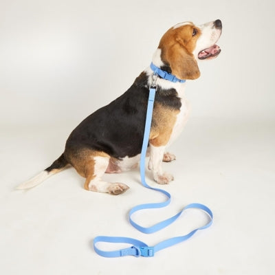 collier-imperméable-pour-chien