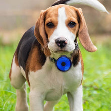 Charger l&#39;image dans la galerie, collier-led-chien-impermeable
