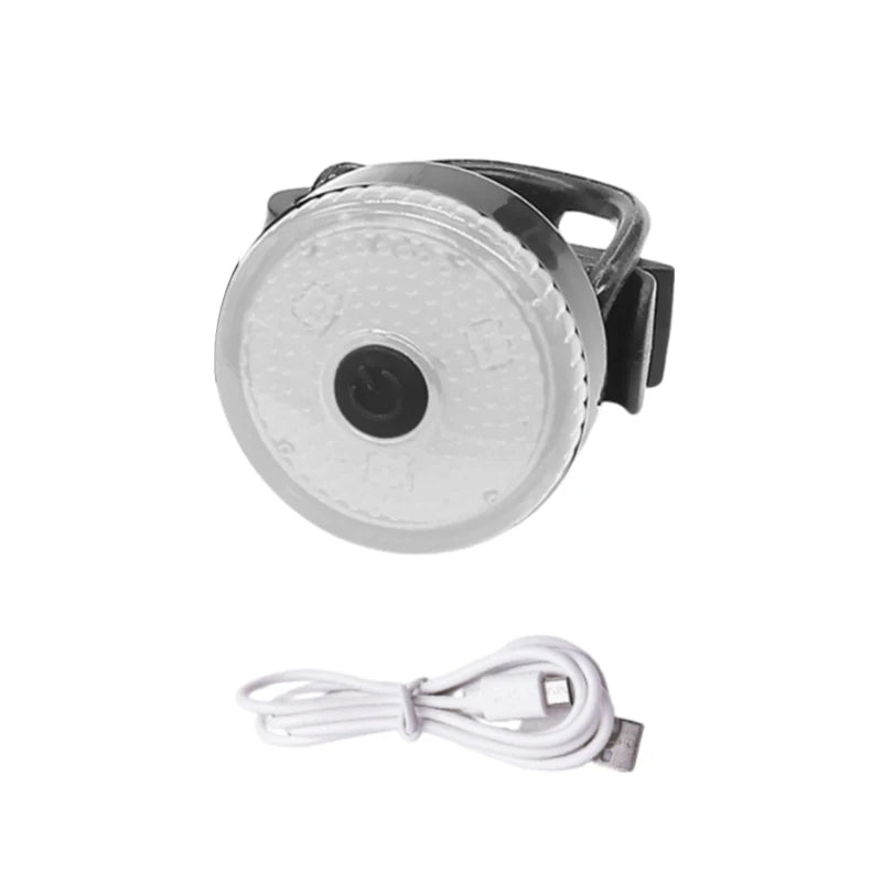 collier-lumineux-chien-blanc