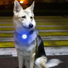 Charger l&#39;image dans la galerie, collier-lumineux-chien-grand
