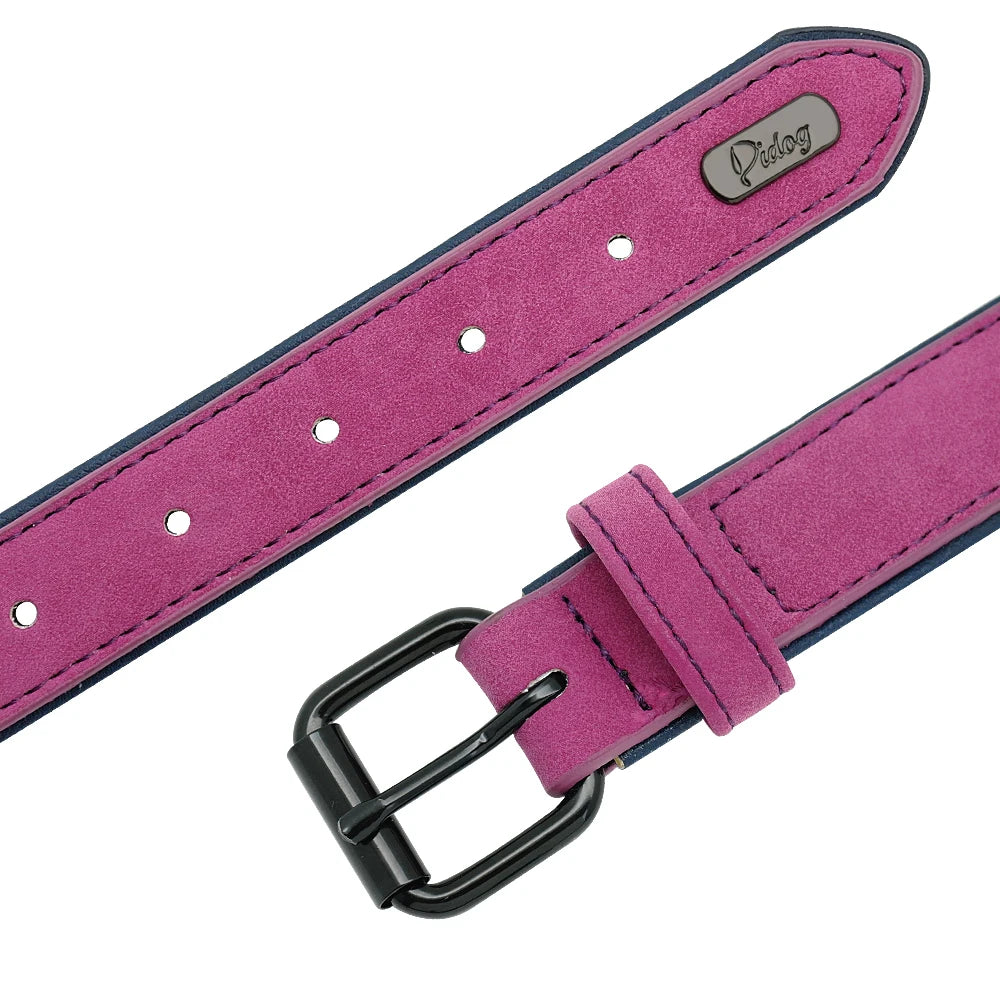 collier-pour-chien-luxe-intemporel