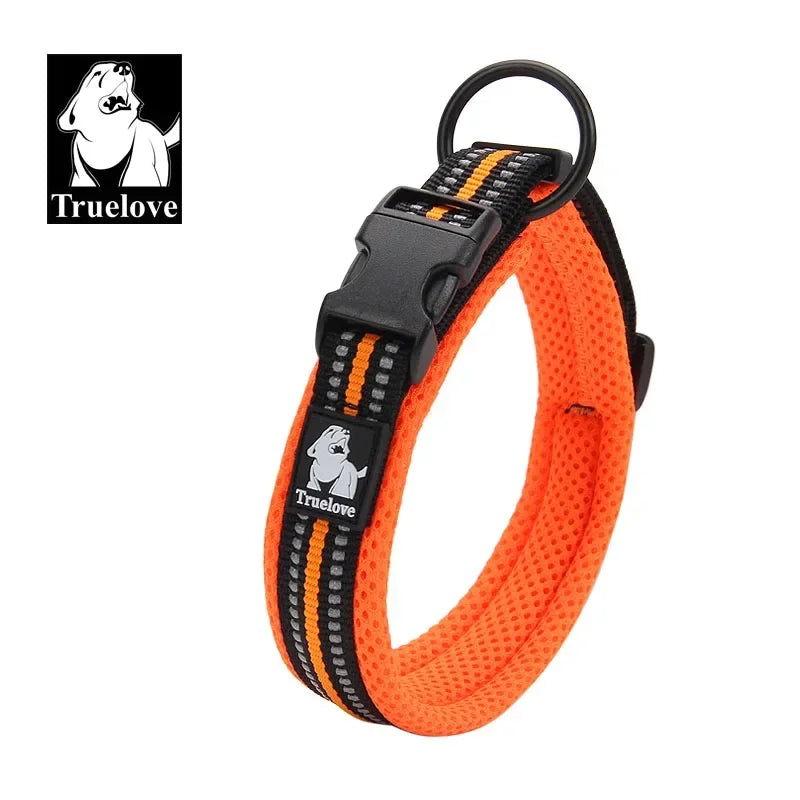 collier-pour-chien-orange-durable