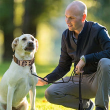 Charger l&#39;image dans la galerie, collier-pour-grand-chien-robuste
