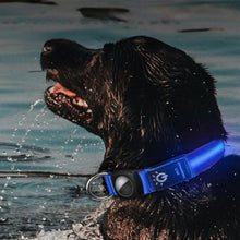 Charger l&#39;image dans la galerie, colliers-lumineux-pour-chiens-durable
