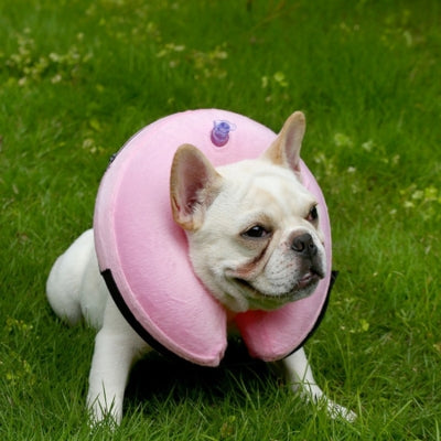 collorette-chien-confortable-rose