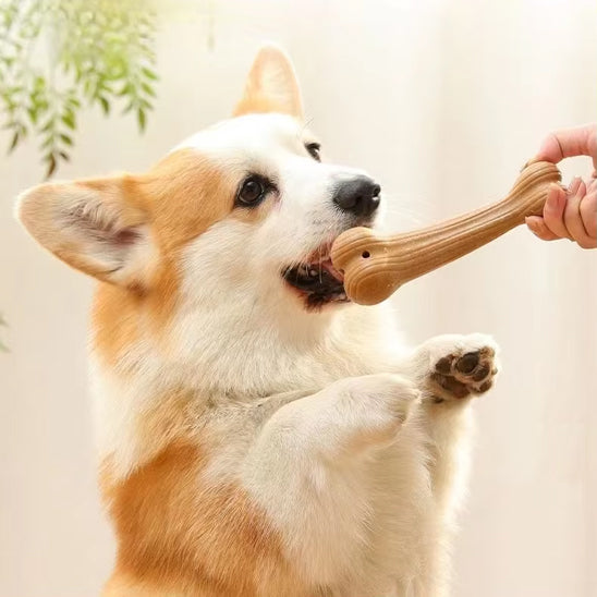 corne-chien-jouet-non-toxique