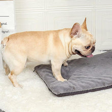 Charger l&#39;image dans la galerie, coussin-confort-chien-voyage
