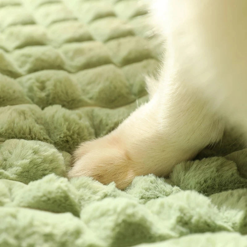 coussin-pour-chien-apaise