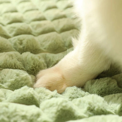 coussin-pour-chien-apaise
