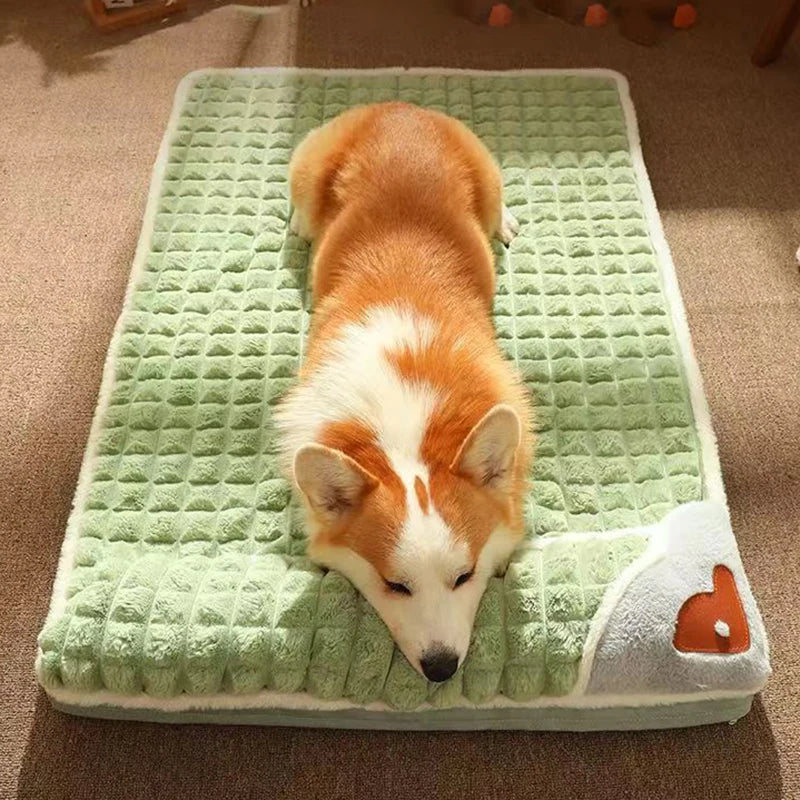 coussin-pour-chien-confort