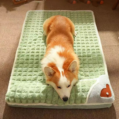 coussin-pour-chien-confort