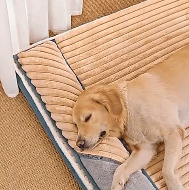 Coussin pour chien | Déhoussable