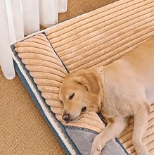 Charger l&#39;image dans la galerie, Coussin pour chien | Déhoussable
